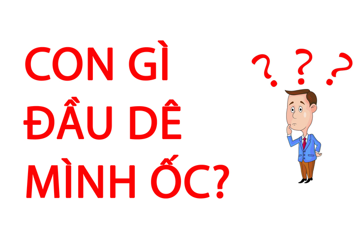 Con gì đầu dê mình ốc? Gallery 2