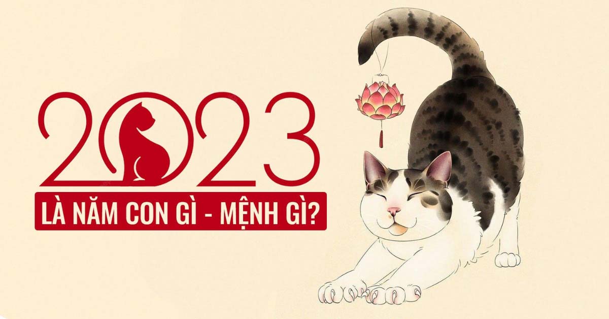 Năm nay năm mấy? Gallery 1