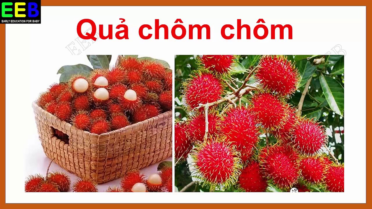Câu Đố Về Rau Củ Quả: Giải Đáp và Những Câu Đố Hay Nhất Gallery 2
