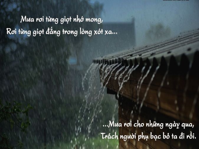 Thơ Về Mưa Hài Hước: Khi Mưa Trở Thành Vần Thơ Ngộ Nghĩnh Gallery 2