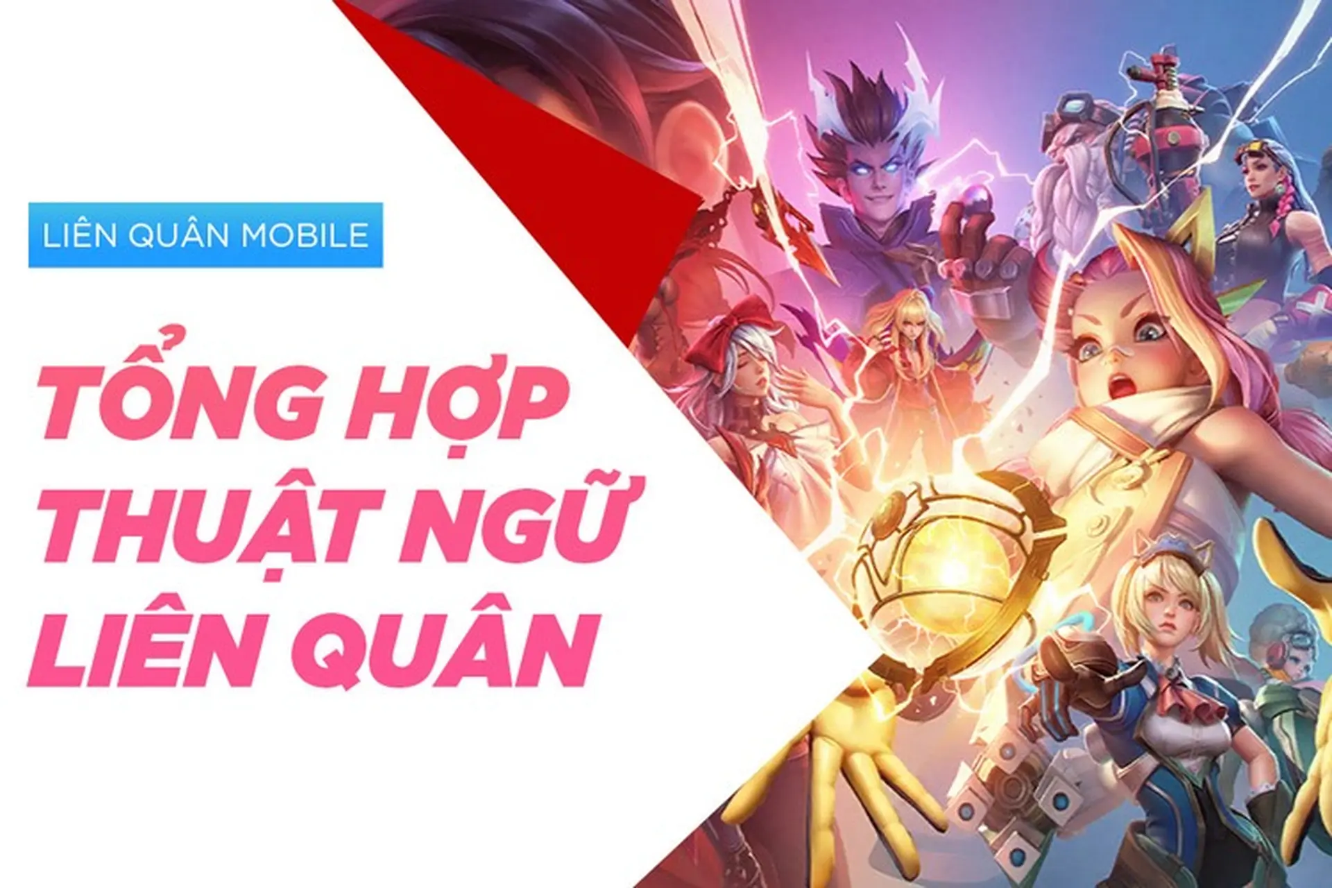 Sên phép là gì? Gallery 1