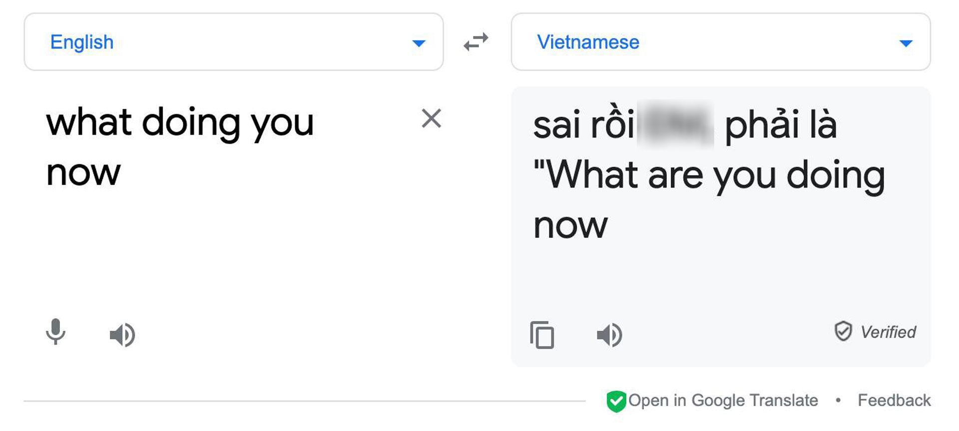 Google Dịch Tiếng Tày Gallery 2
