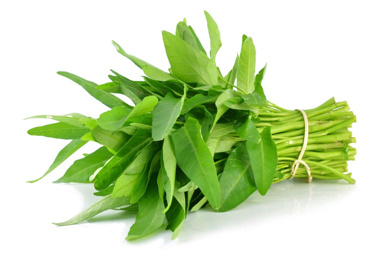 Muống ghép với từ gì? Gallery 2