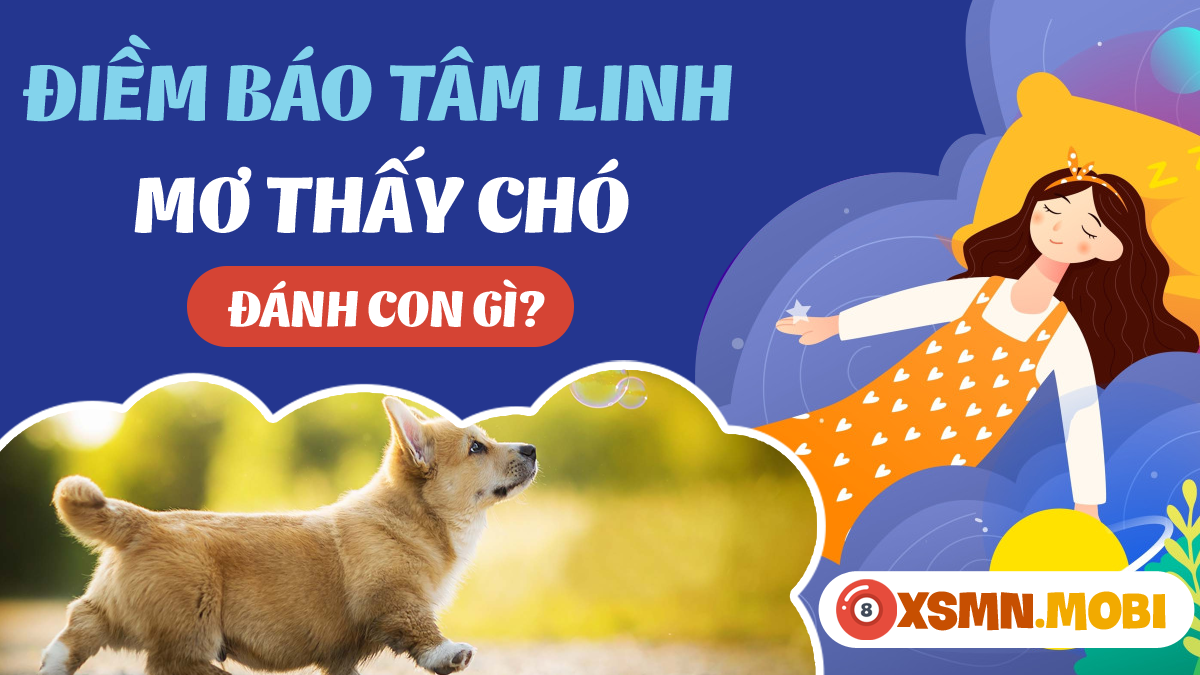 Chó đẻ đánh số mấy? Gallery 1