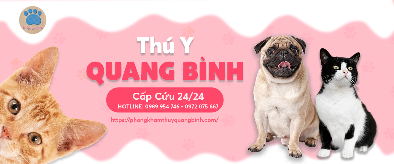 Thú Y Củ Chi: Địa chỉ khám chữa bệnh uy tín cho thú cưng Gallery 1
