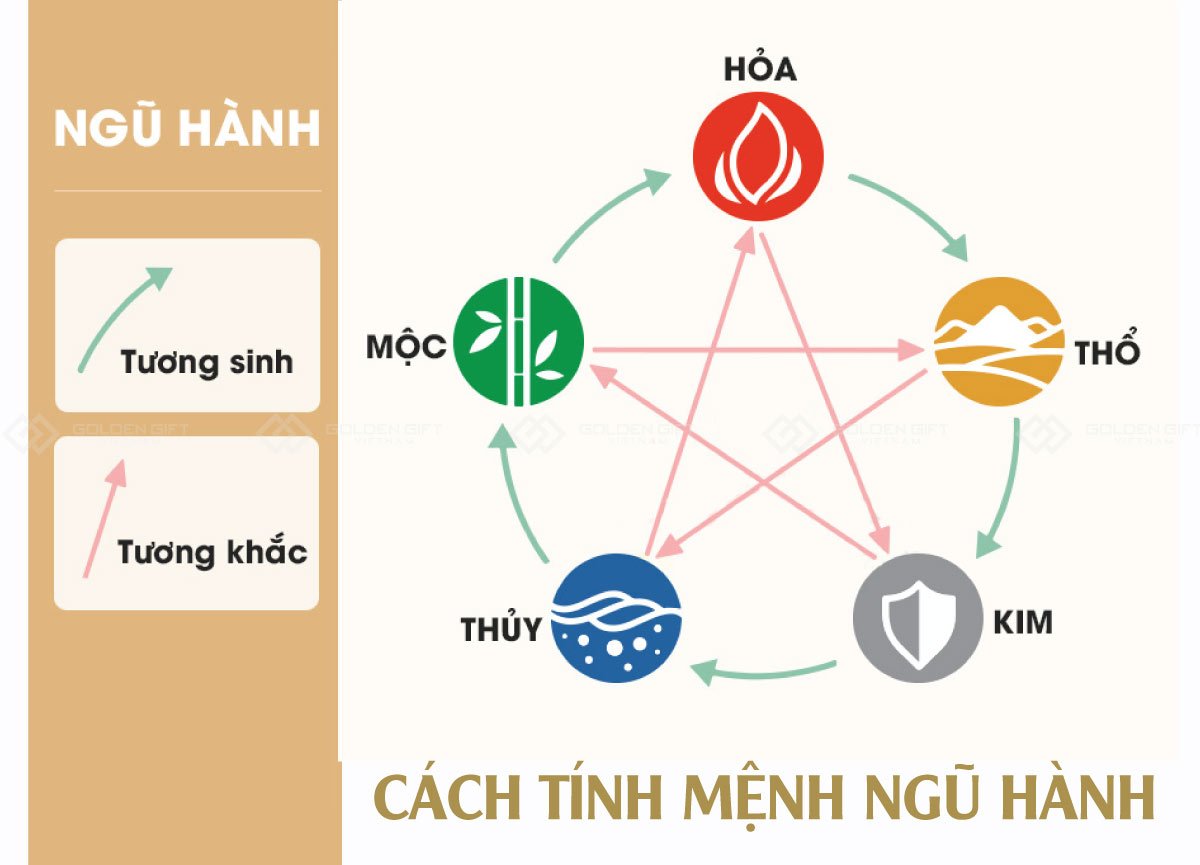 Quý 11 Ngón Sinh Năm Bao Nhiêu? Gallery 1