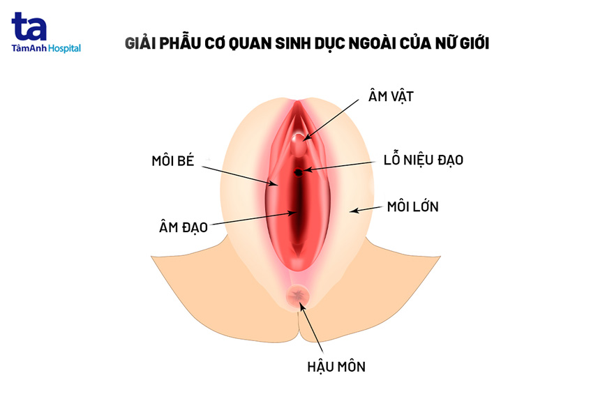 Cách Nhún Khi Quan Hệ Để Tăng Cường Hứng Thú Gallery 1