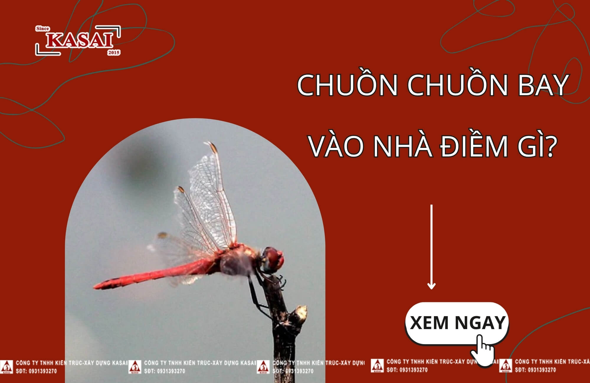 Con chuồn chuồn đánh số mấy? Gallery 1
