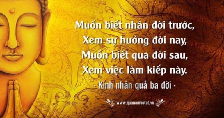 Kiếp trước làm gì mà kiếp này khổ? Gallery 1