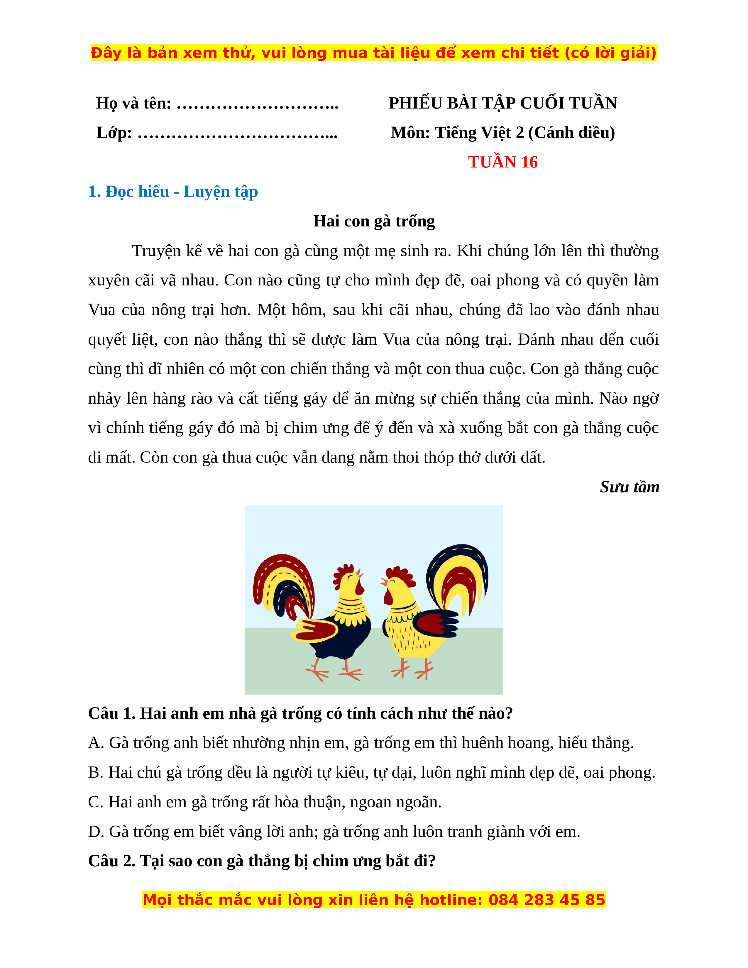 Phiếu Bài Tập Tiếng Việt Lớp 2 Cánh Diều - Tổng Hợp Tài Liệu Học Tập Gallery 1