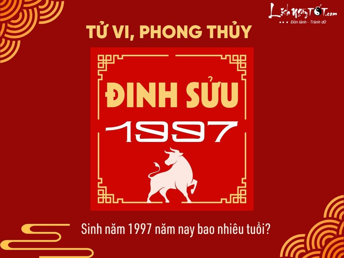 K7 Năm Nay Bao Nhiêu Tuổi? Gallery 1