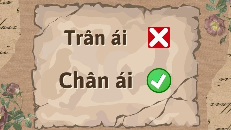 Trần Ái là ai? Thông tin chi tiết về Trần Ái Gallery 1