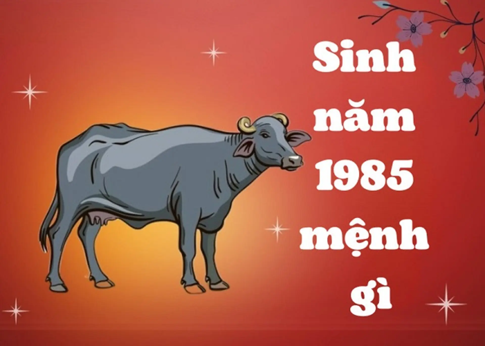 Tuổi 1985 hợp số nào? Gallery 1