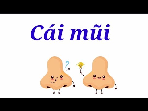 Lời Bài Hát Cái Mũi Gallery 1
