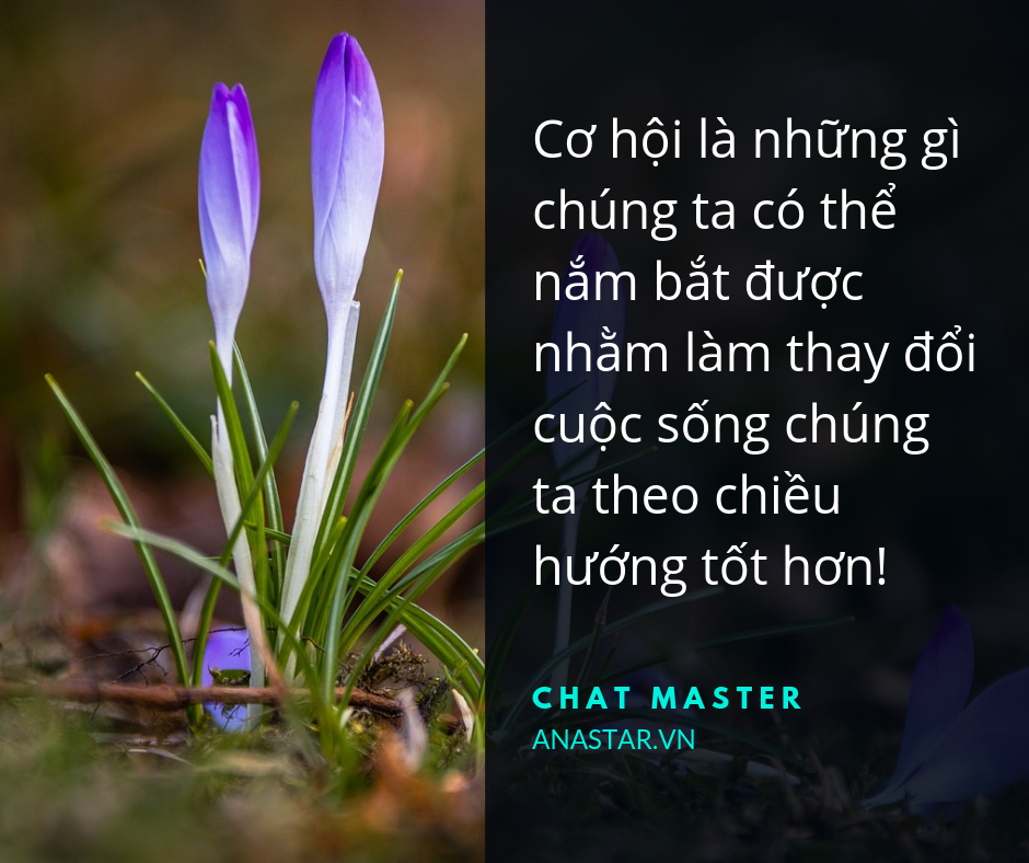 Tôi Giỏi Để Tôi Lên Gallery 2
