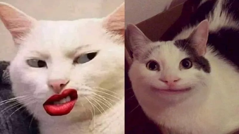 Meme Đôi: Tổng Hợp Những Bộ Đôi Hài Hước Nhất Gallery 2