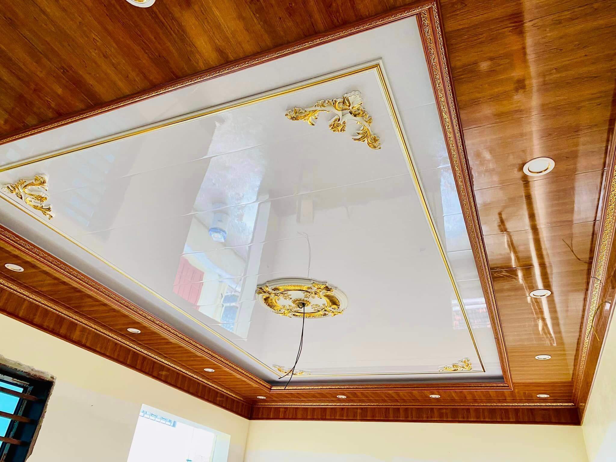 Phan Trần là ai? Gallery 1