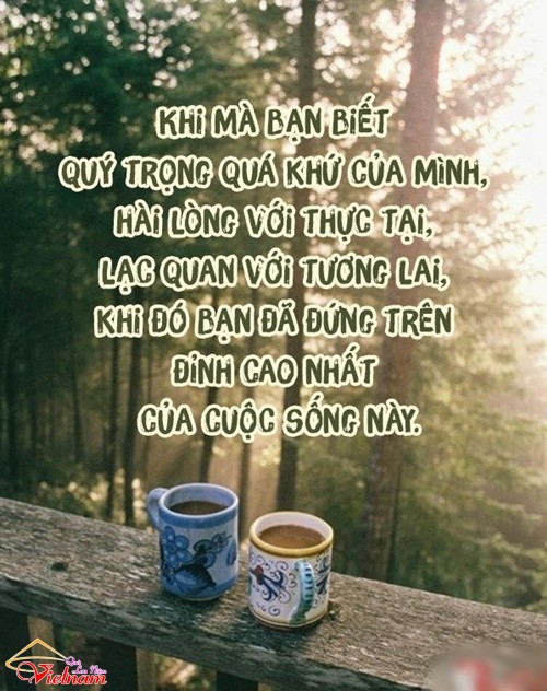 Lợi Ích Và Vẻ Đẹp Trong Cuộc Sống Gallery 1