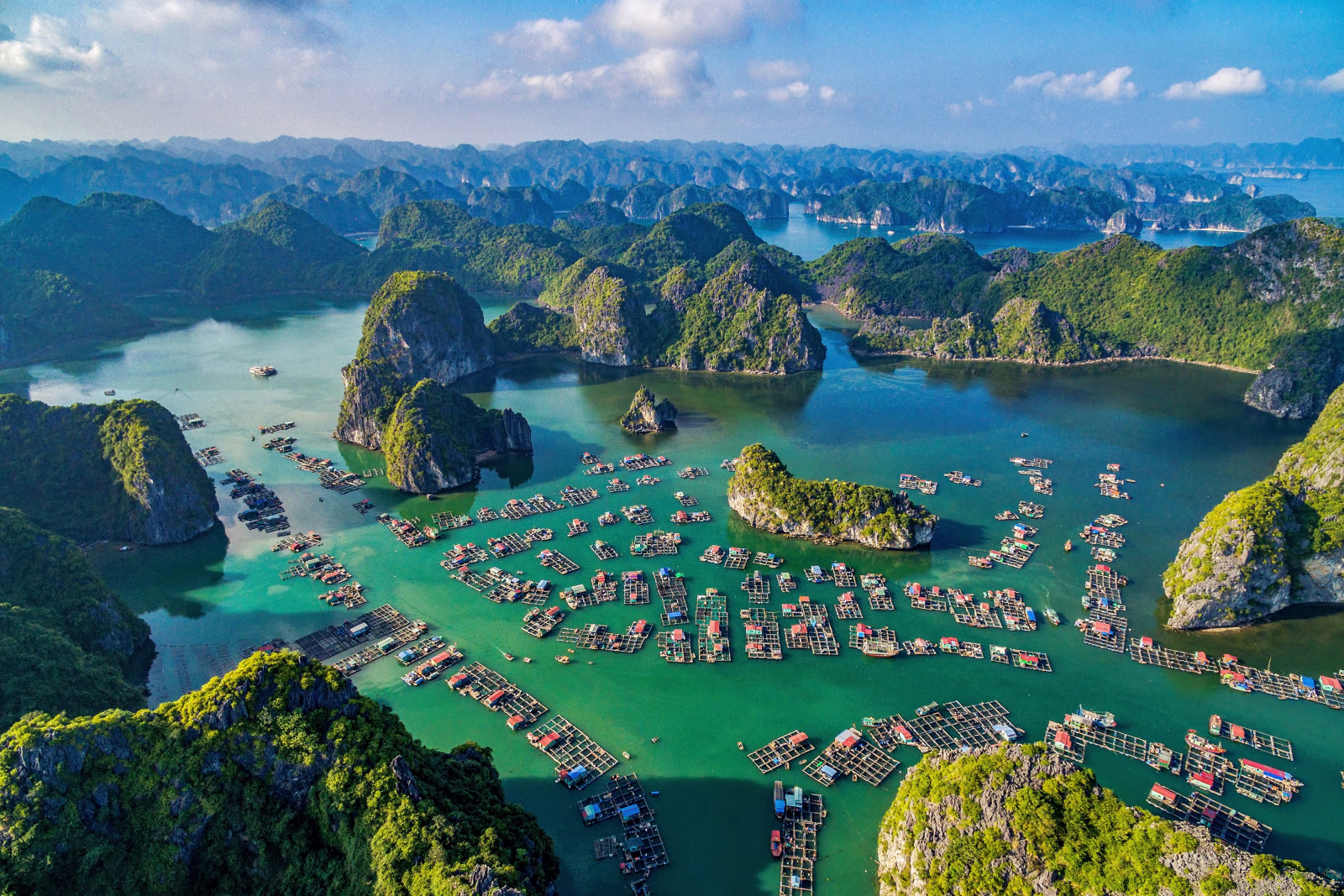 Vịnh Tiến Sĩ Giấy Gallery 2