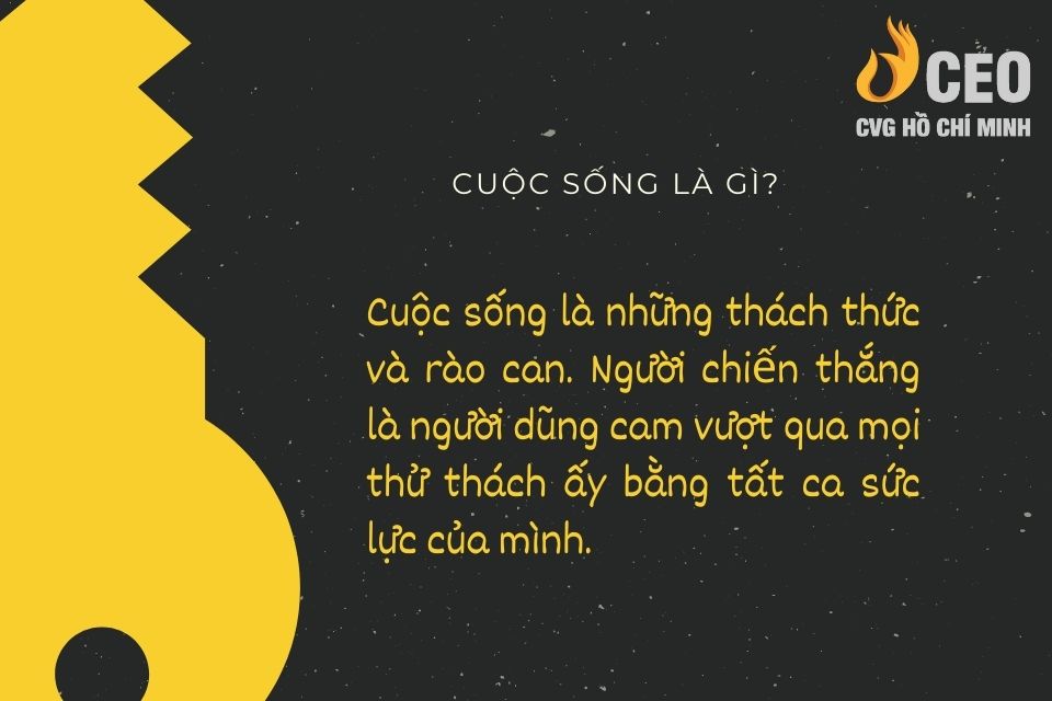 Sống Có Ý Nghĩa: Khám Phá Mục Đích và Hạnh Phúc Thật Sự Gallery 1