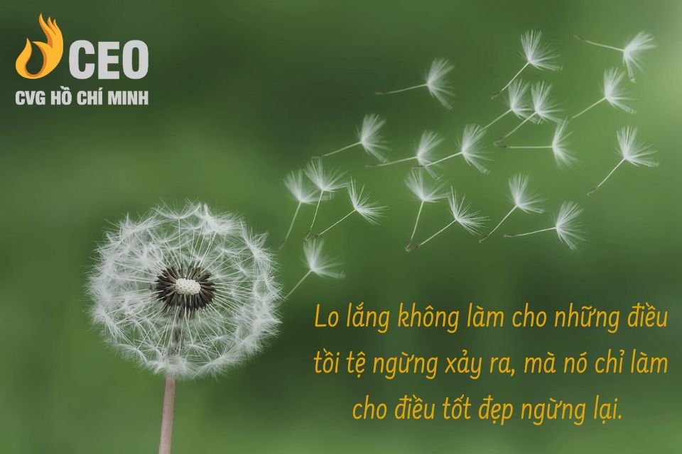 Ý Nghĩa Cuộc Sống Và Chân Lý Sống Gallery 1