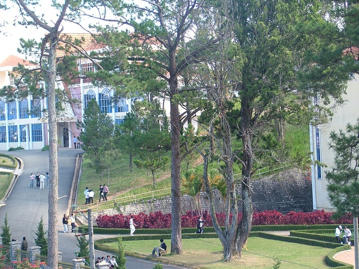 Trả Lại Em Yêu Khung Trời Đại Học Gallery 2