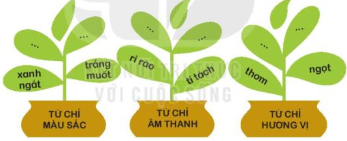 Từ ngữ chỉ đặc điểm của con đường