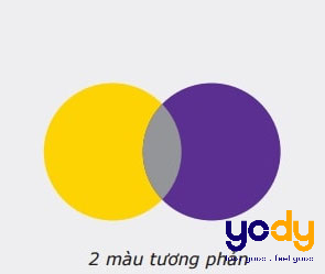 Tím pha vàng ra màu gì? Gallery 2