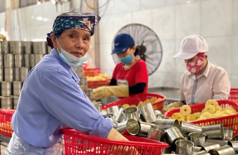 Việc Làm Rửa Chén Ở An Giang