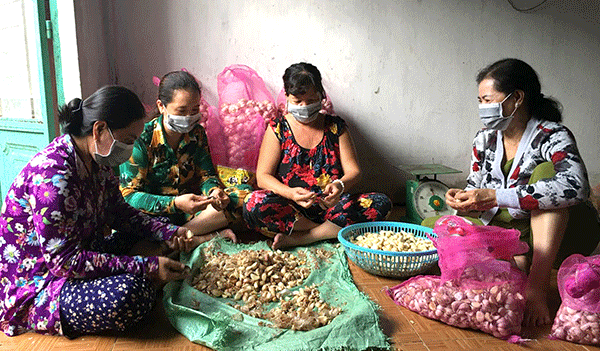 Tìm Việc Lột Tỏi