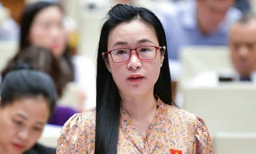Tin Tức Mới Nhất Về Người Nổi Tiếng - Cập Nhật Liên Tục