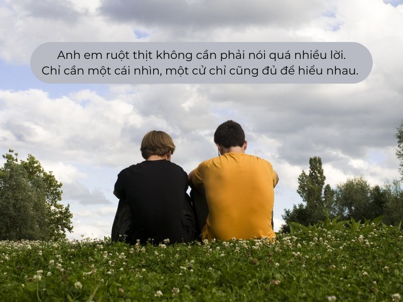 STT về Anh Em Ruột Hay và Ý Nghĩa Nhất Gallery 1