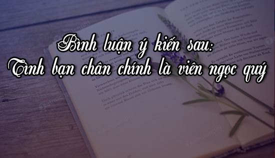 Tình bạn chân chính là viên ngọc quý