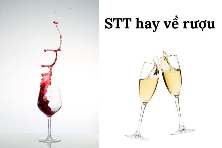 STT Tình Bạn Hài Hước Rượu: Những Câu Nói Chân Thành Về Tình Cảm Bên Ly Rượu Gallery 1