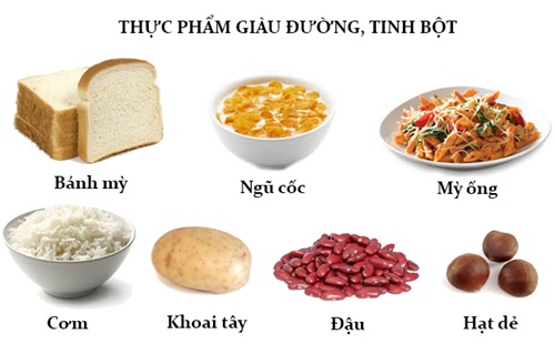 Tinh bột có ở đâu?