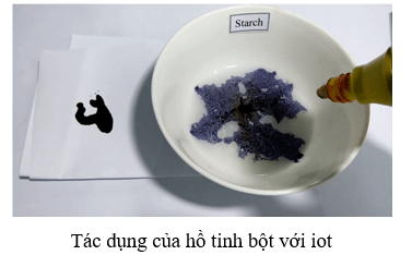 Tinh bột + H2O: Phản ứng thủy phân và ứng dụng