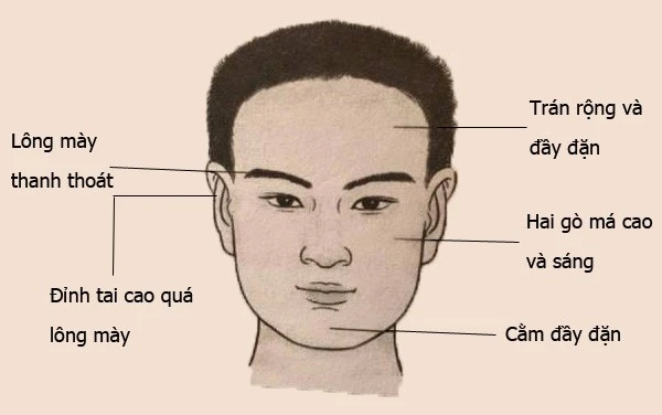 Con Trai Trán Cao: Tướng Số, Tính Cách Và Vận Mệnh Gallery 2