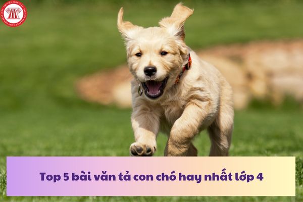 Bài Văn Tả Con Chó Lớp 4 Ngắn Nhất Gallery 2