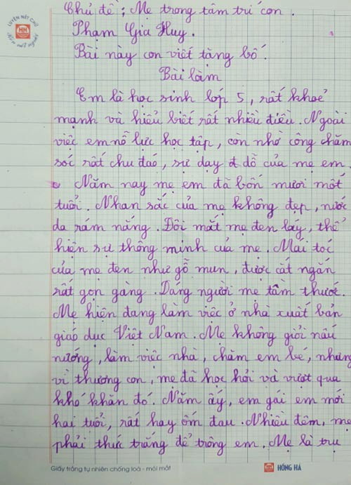 Tả mẹ Gallery 2