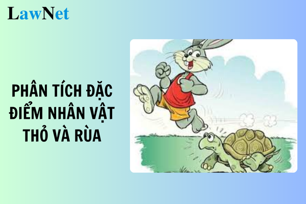 Phân tích nhân vật Thỏ trong truyện Rùa và Thỏ Gallery 1