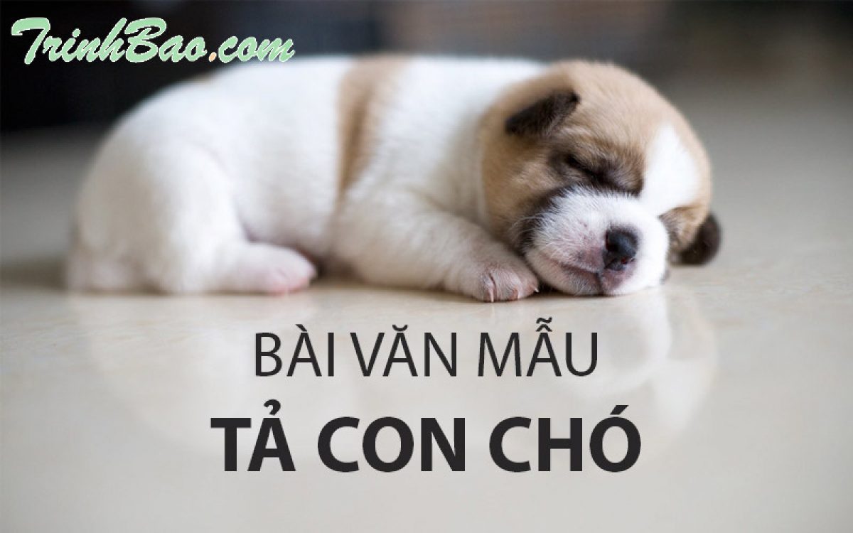 Tả Chú Chó Lớp 4 Gallery 2