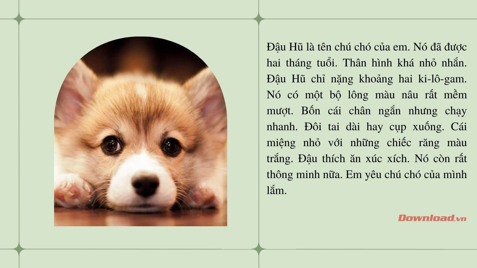 Văn Tả Con Chó Ngắn Gọn Gallery 2