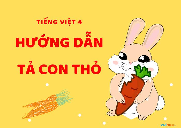 Tả Con Thỏ Lớp 5 Gallery 2