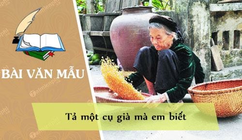Bài Văn Tả Một Cụ Già Lớp 5 Gallery 2