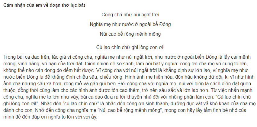Cảm nghĩ về bài thơ lục bát về thăm mẹ Gallery 1