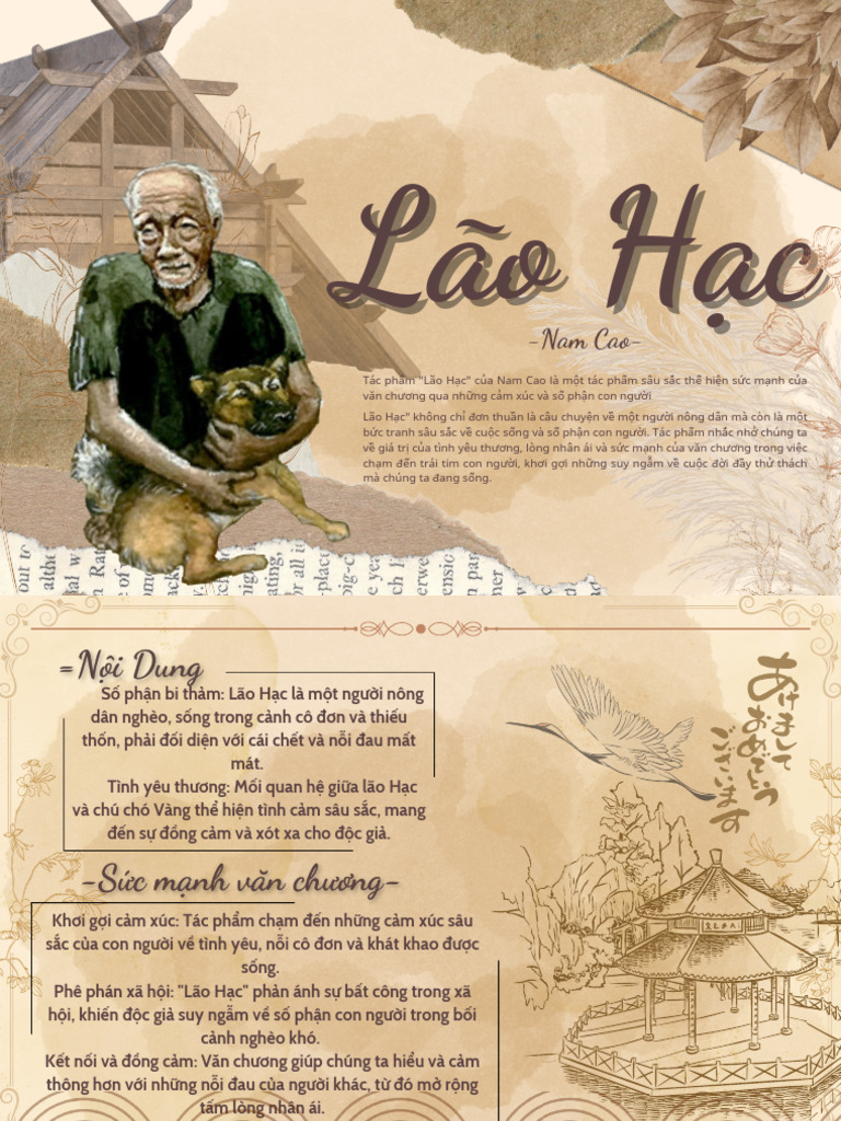 Cảm nhận về Lão Hạc Gallery 2
