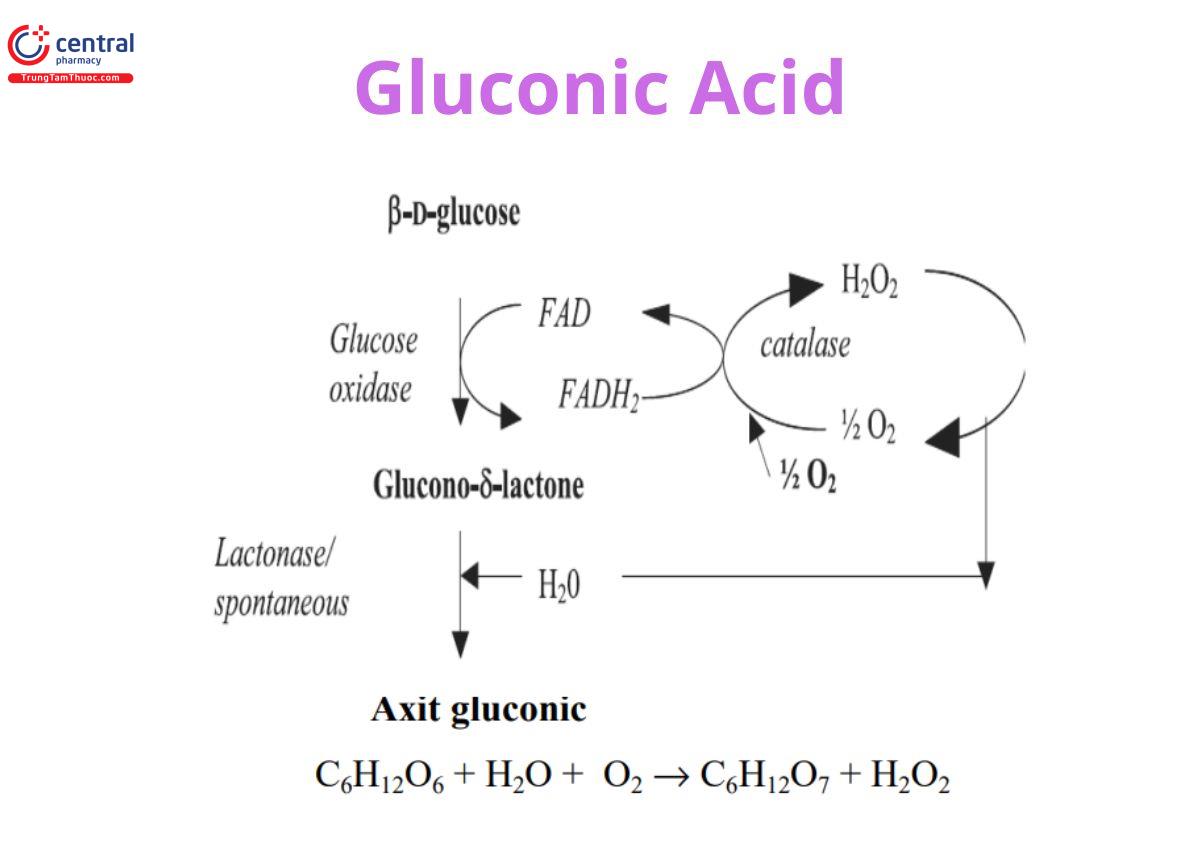 Axit Gluconic là gì? Gallery 1