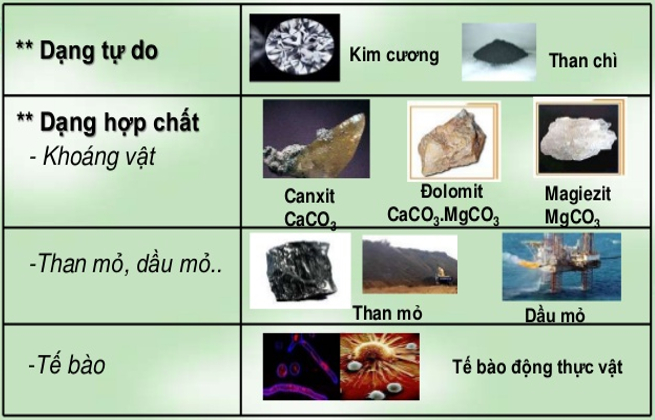 Cacbon là phi kim hay kim loại? Gallery 1