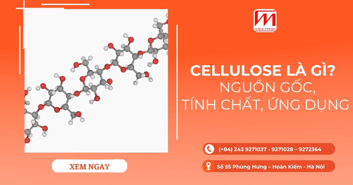 Cellulose là chất gì? Gallery 2