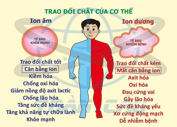 Ion Dương Là Gì? Gallery 1